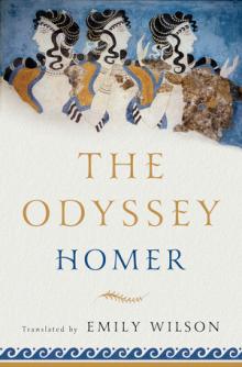 The Odyssey - Emily Wilson - 02/28/2019 - 7:30pm